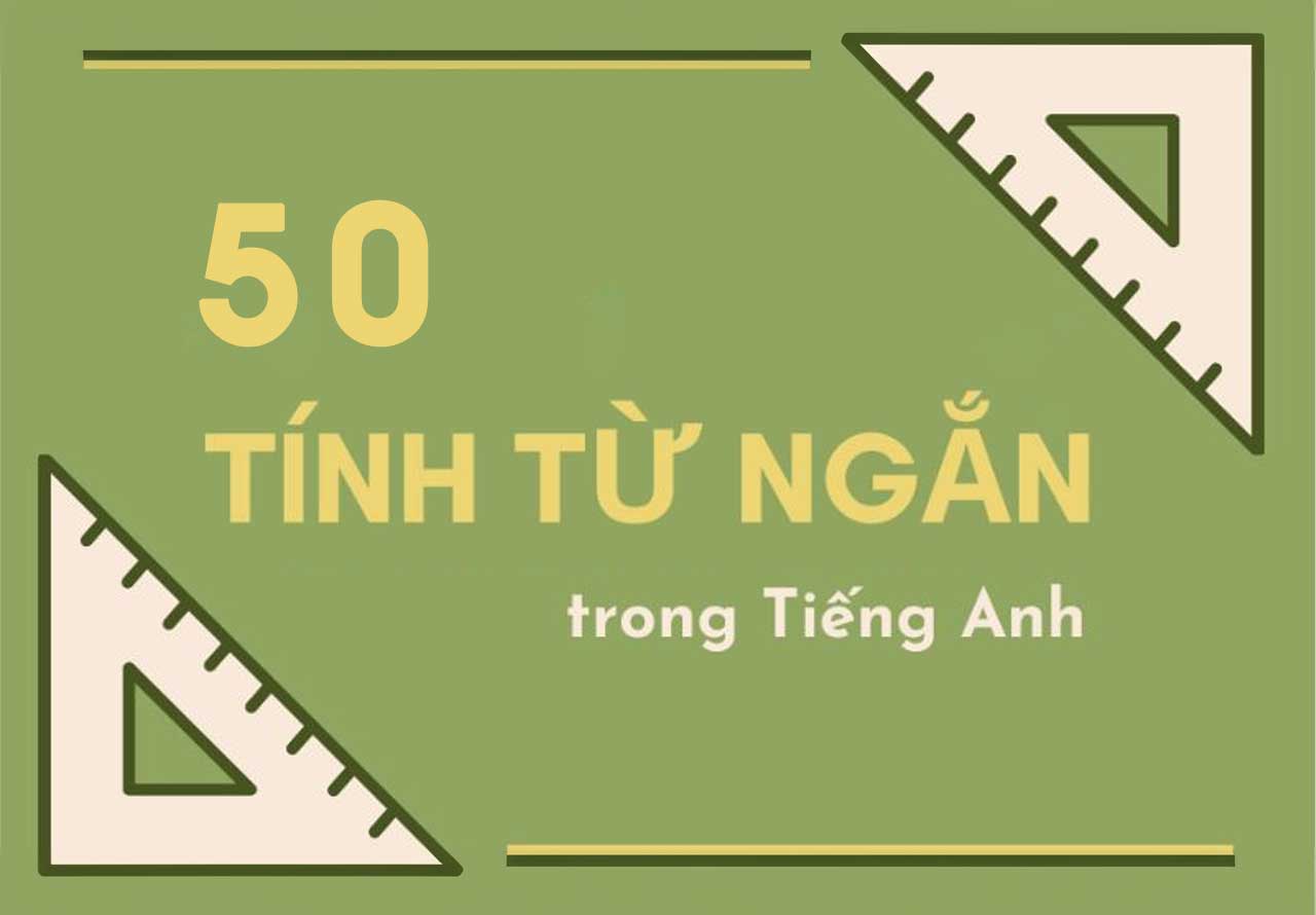 Các Tính Từ Ngắn Trong Tiếng Anh: Hướng Dẫn Chi Tiết và Ứng Dụng