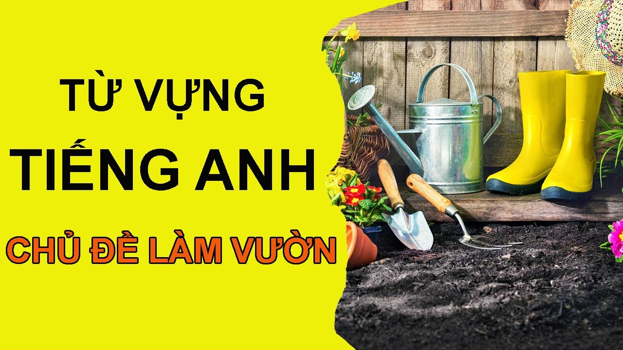 Trồng cây tiếng Anh là gì? Ý nghĩa và từ vựng liên quan